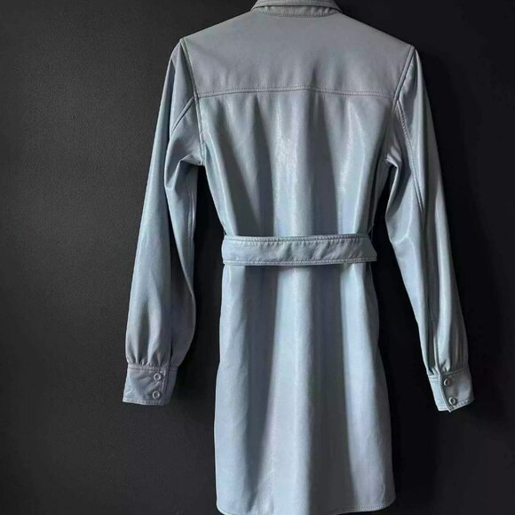 Aritzia Wilfred Caroline Vegan Leather Shirt Dress - Picture 4 of 14